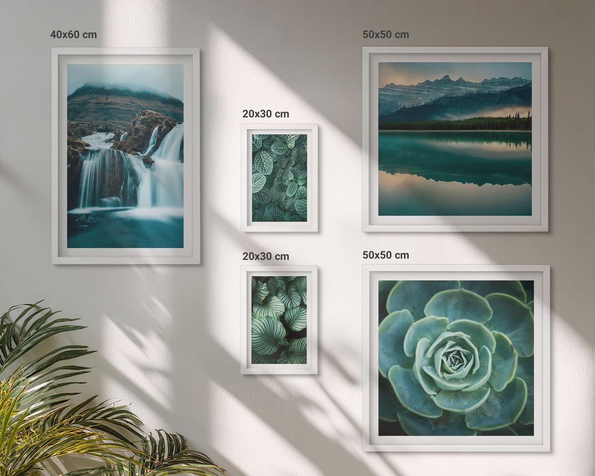 BILDER SET 5er Set - 50x50 cm & 20x30 cm & 40x60 cm Weißer Rahmen - Sukkulenten in Grün und Türkis - Weiß, Kunststoff (40/60cm) - TULUP