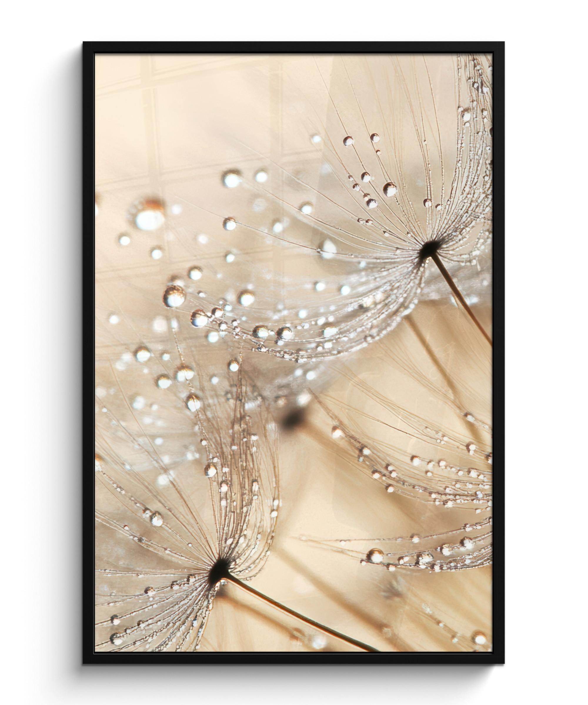 POSTER MIT RAHMENGERAHMTES BILD Löwenzahn - Abstrakt - Natur - Beige Bilderleiste 80x120 cm - Braun, Papier (80/120cm) - MuchoWow