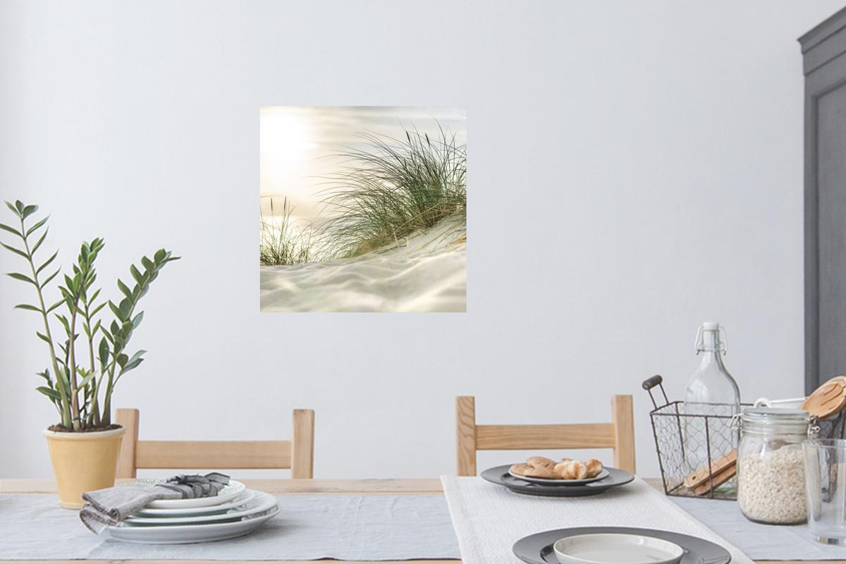 WANDTATTOO Dünen mit Strandhafer in der Sonne des Nationalparks Schleswig-Holsteinisches Wattenmeer Wanddeko 50x50 cm - Creme, Kunststoff (50/50/0.1cm) - MuchoWow