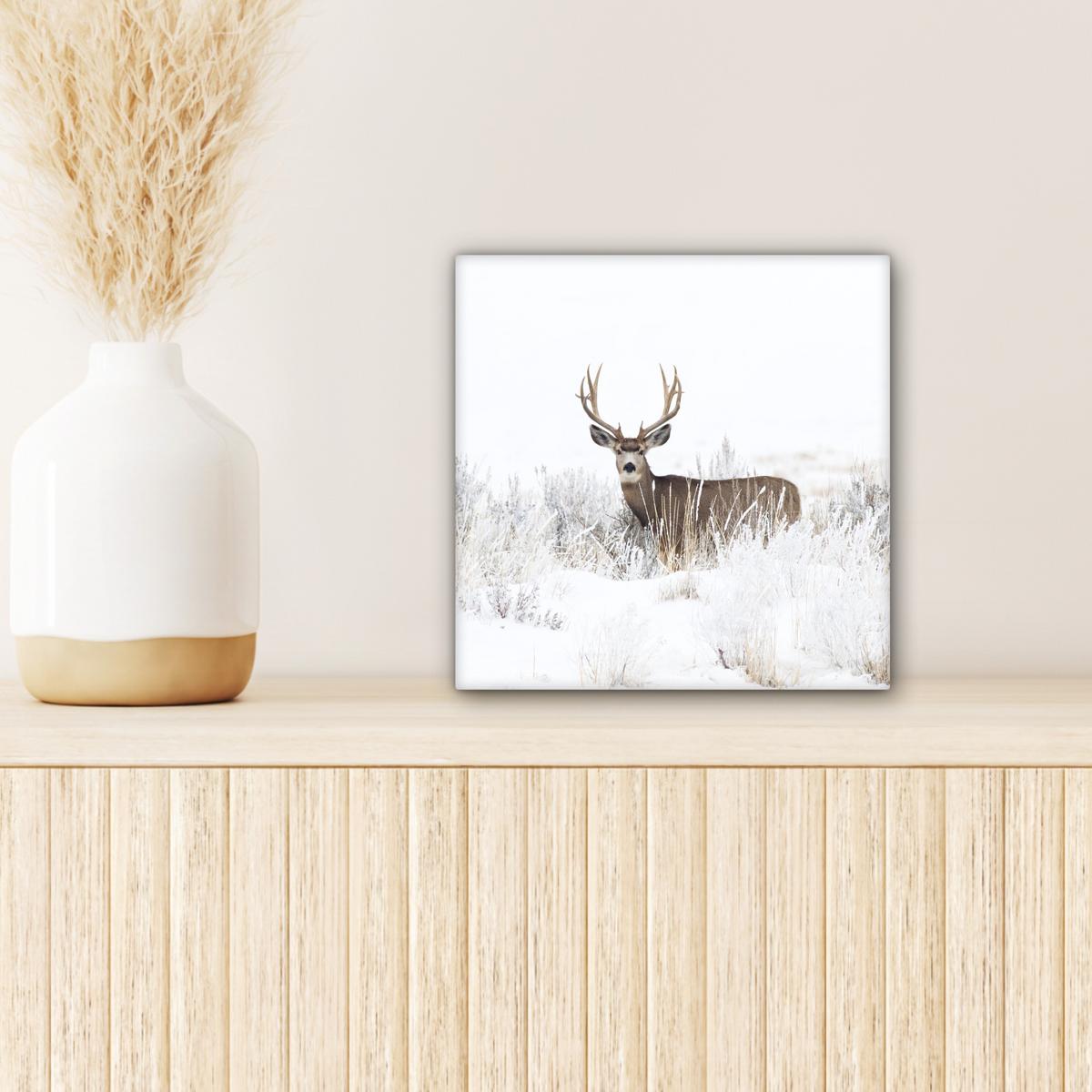 LEINWANDBILD Hirsche - Winter - Schnee - Tiere - Jahreszeiten - Weiß Deko Wohnzimmer 20x20 cm - Hellbraun, Textil (20/20cm) - MuchoWow