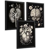 POSTER Set aus 3 Anatomie Mensch Drucke und Wandbilder mit Niere Harnsystem Gehirn und Herz Klassisches Schwarz Weiß Design Größe Schwarzer Rahmen A4 - Schwarz, Papier (21/29.7/3cm) - Nacnic