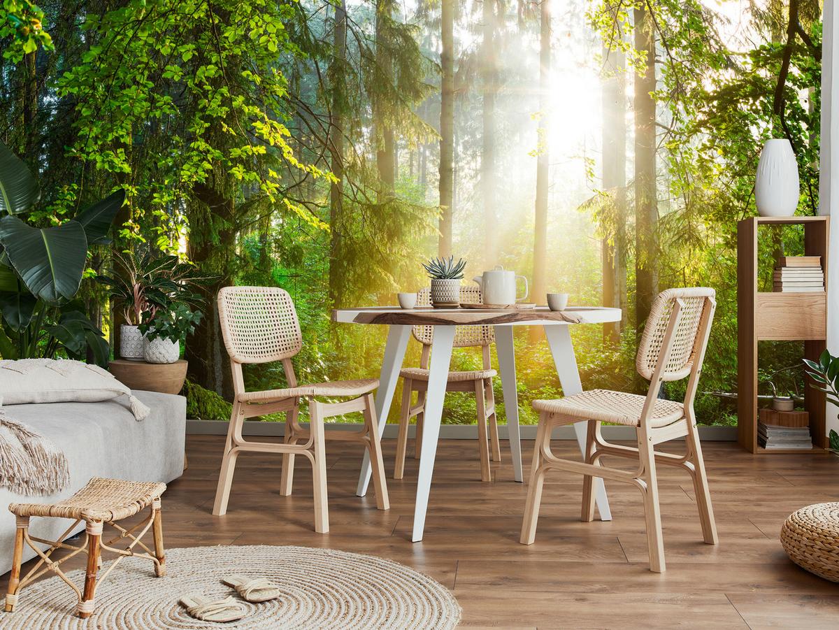 FOTOTAPETE für Wohnzimmer Sonniger Wald Bäume Pflanzen Natur Gras 400x280 - Multicolor, Papier (400/280cm) - Muralo