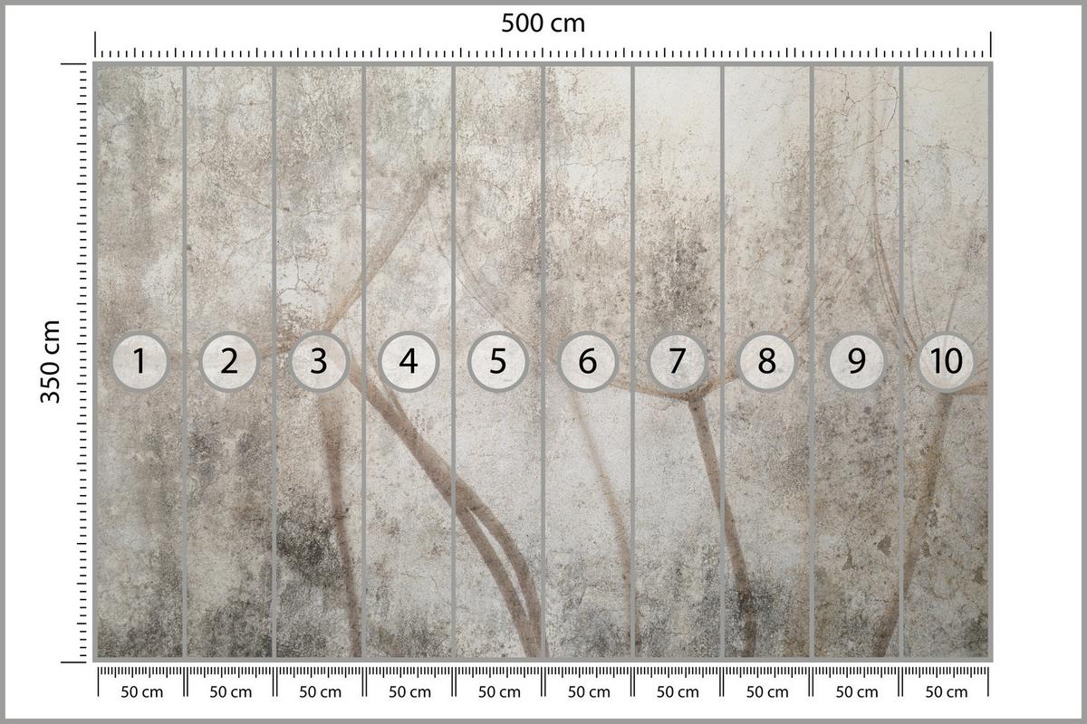 FOTOTAPETE für Wohnzimmer Zarter Skizze Löwenzahn Grauer Beton Minimalistisch 500x350 - Beige/Braun, Papier (500/350cm) - Muralo