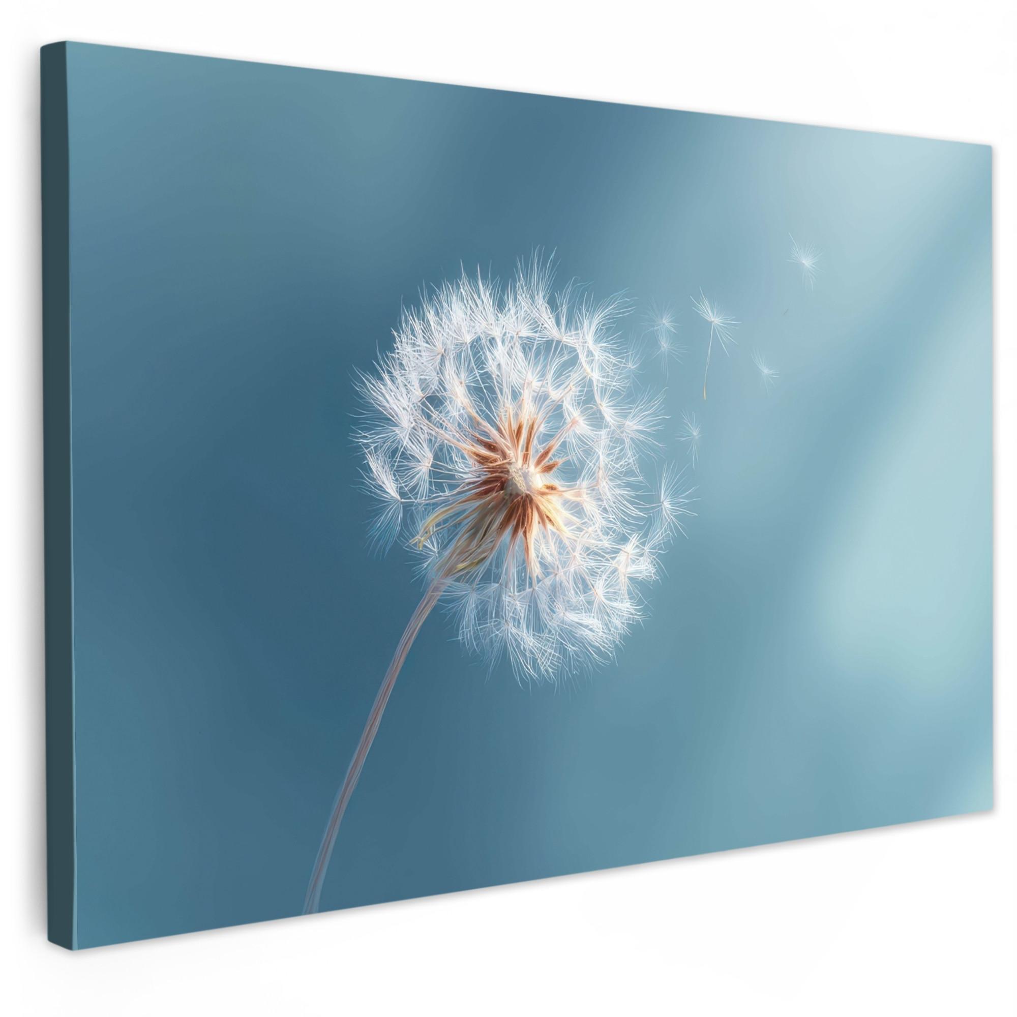 LEINWANDBILD Löwenzahn - Wind - Blau XXL 150x100 cm - Blaugrau, Textil (150/100cm) - MuchoWow
