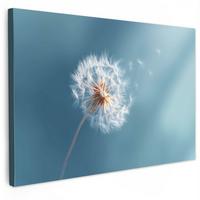 LEINWANDBILD Löwenzahn - Wind - Blau XXL 150x100 cm - Blaugrau, Textil (150/100cm) - MuchoWow