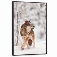 LEINWAND Bilder mit Rahmen - Wolf - Winter - Schnee - Natur - Tiere - 100x150 - Haselnussfarben, Textil (100/150cm) - MuchoWow