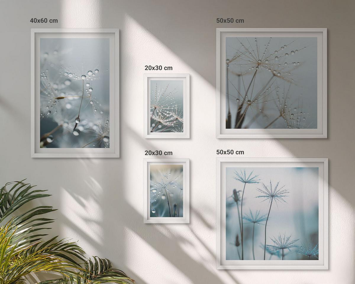 BILDER SET 5er Set - 50x50 cm & 20x30 cm & 40x60 cm Weißer Rahmen - Wassertropfen auf Löwenzahnsprossen - Weiß, Kunststoff (40/60cm) - TULUP