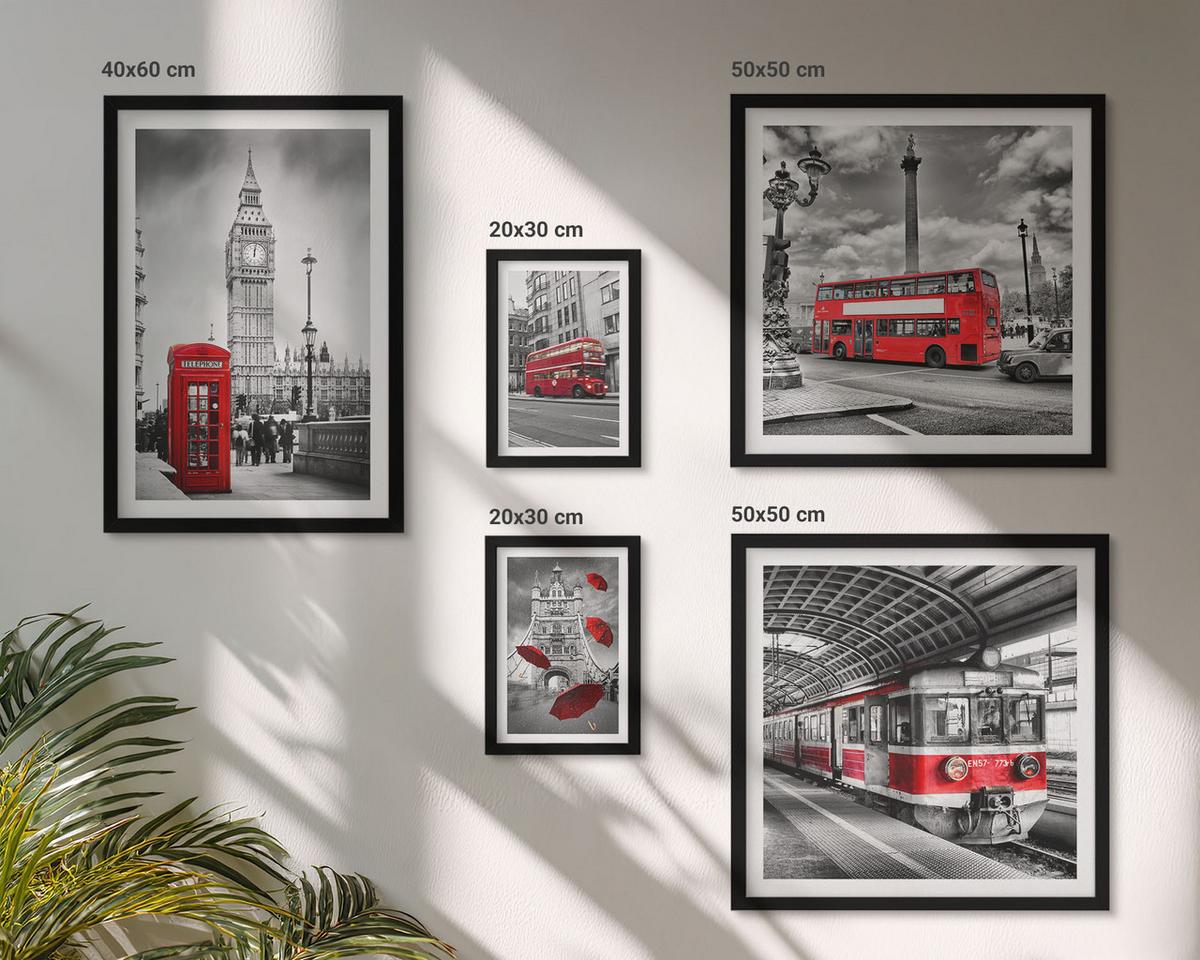 BILDER SET 5er Set - 50x50 cm & 20x30 cm & 40x60 cm Schwarzer Rahmen - Tropischer Wald Papageienwasserfall - Schwarz, Kunststoff (40/60cm) - TULUP