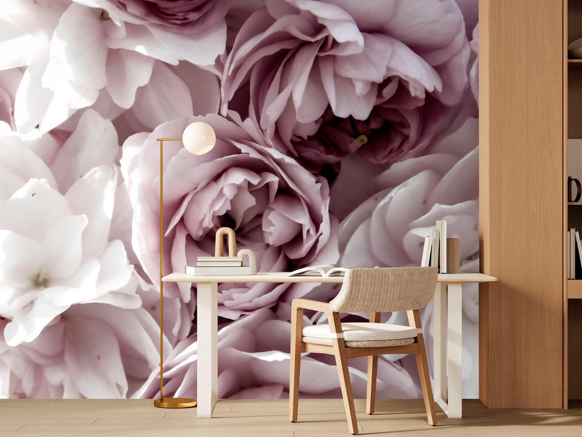 FOTOTAPETE für Badezimmer Pastell Pfingstrosen Blumen 500x350 - Beige/Violett, Papier (500/350cm) - Muralo