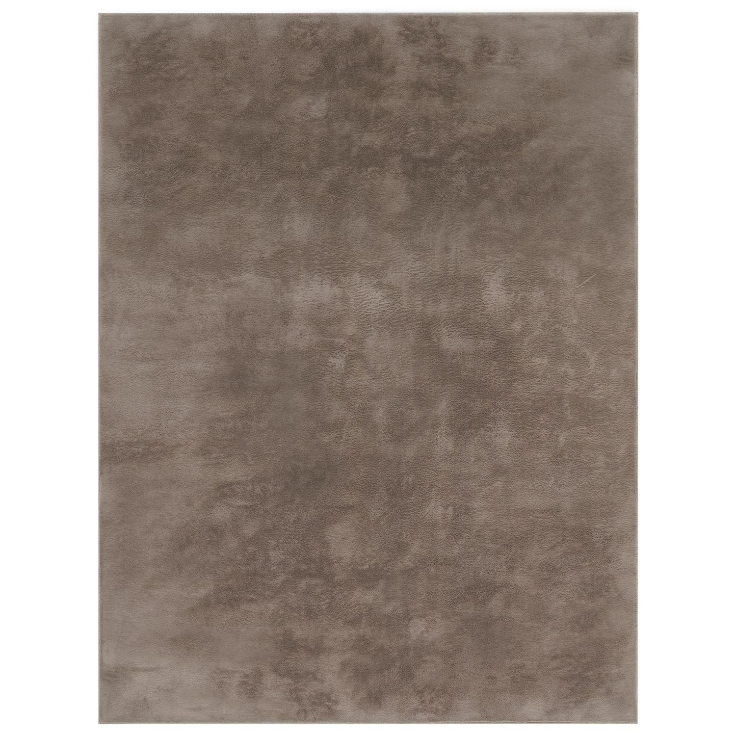 HOCHFLORTEPPICHE Taupe 100 x 200 cm - Taupe, Kunststoff (100/200cm) - TT Home