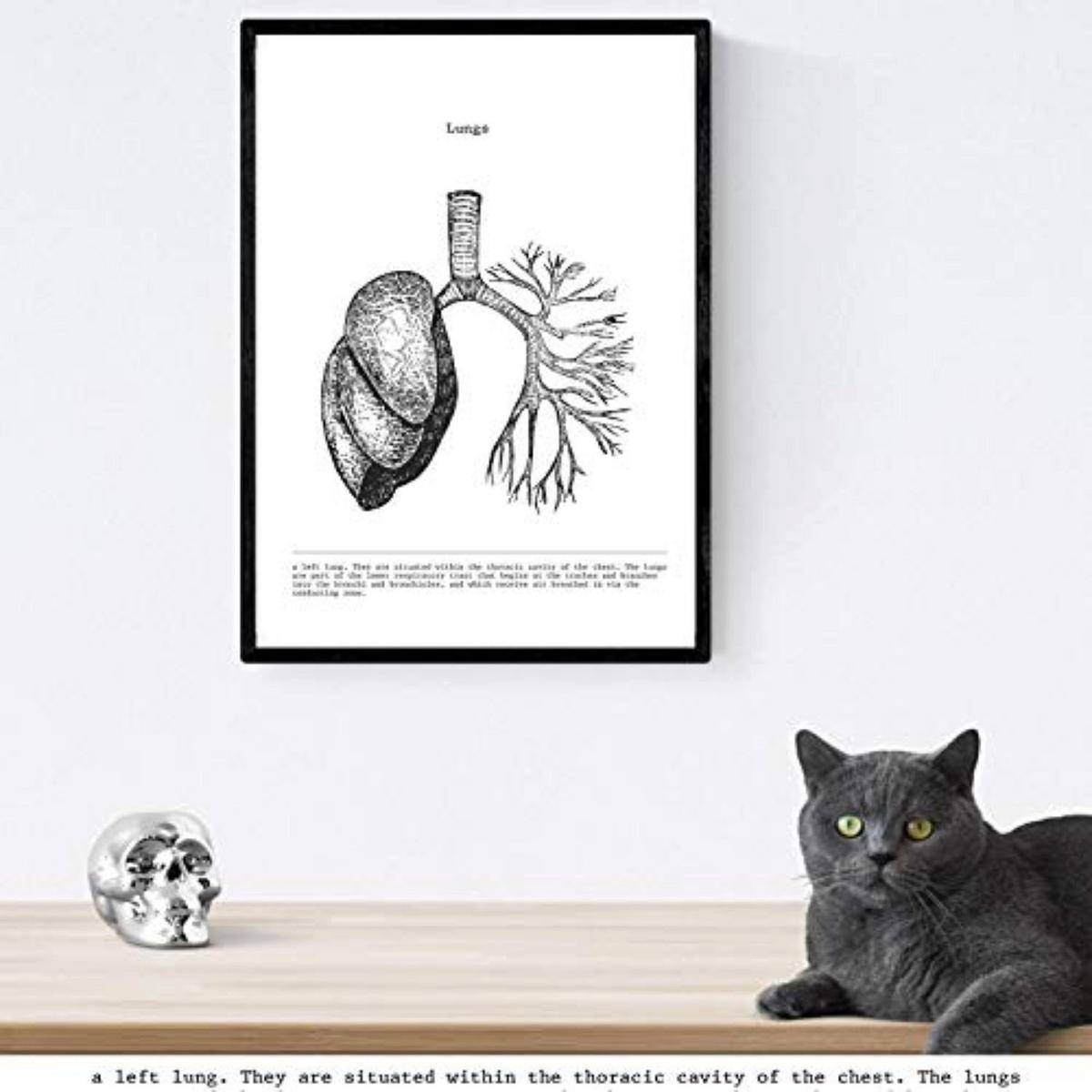 POSTER Set Mit 3 Herz, Gehirn Und Lunge A4 Rahmenlos - Klar, Papier (21/1cm) - Nacnic