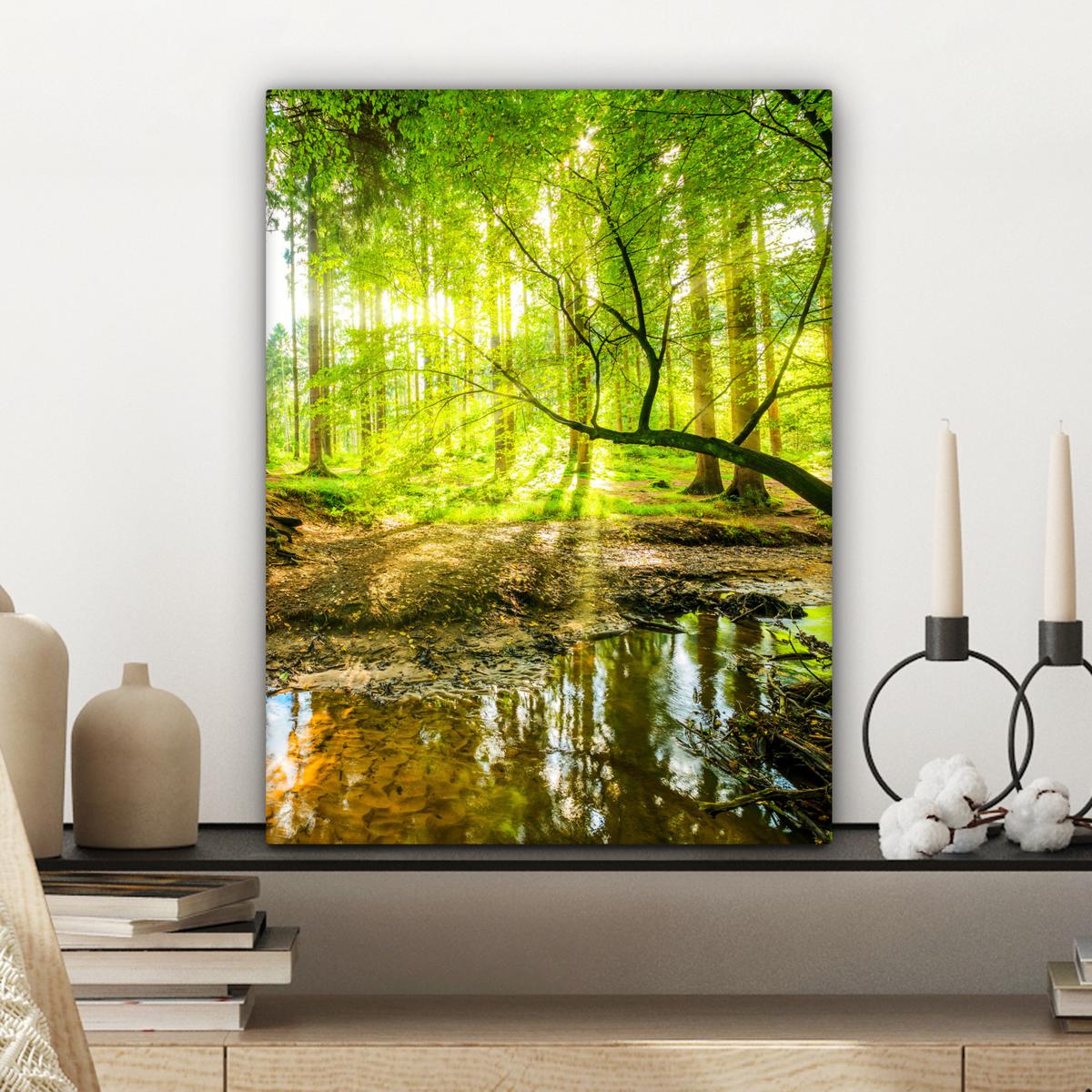 LEINWANDBILD Wald - Landschaft - Wasser - Bäume - Sonne - Grün - Natur Room Decor 30x40 cm - Grün, Textil (30/40cm) - MuchoWow