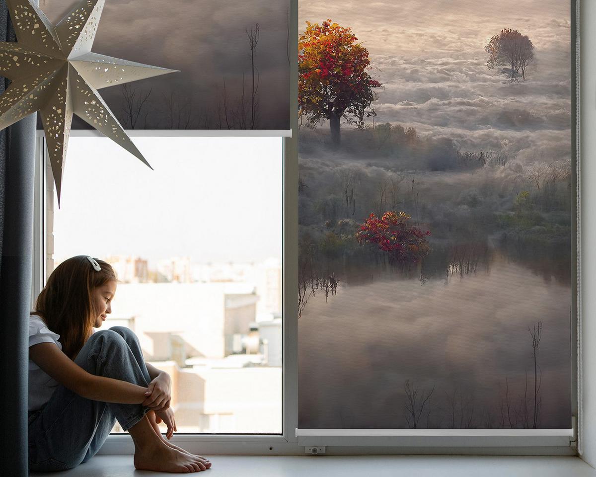 INNENROLLO - Fensterrollo - Rollo - 60x40 cm - Bäume im Nebel - Grau, Kunststoff (60/140/0.5cm) - TULUP