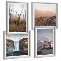 BILDER SET 4er Set - 50x50 cm & 40x60 cm Silberner Rahmen - Wilde Landschaften, Berge, Hirsche - Silberfarben, Kunststoff (50/50cm) - TULUP