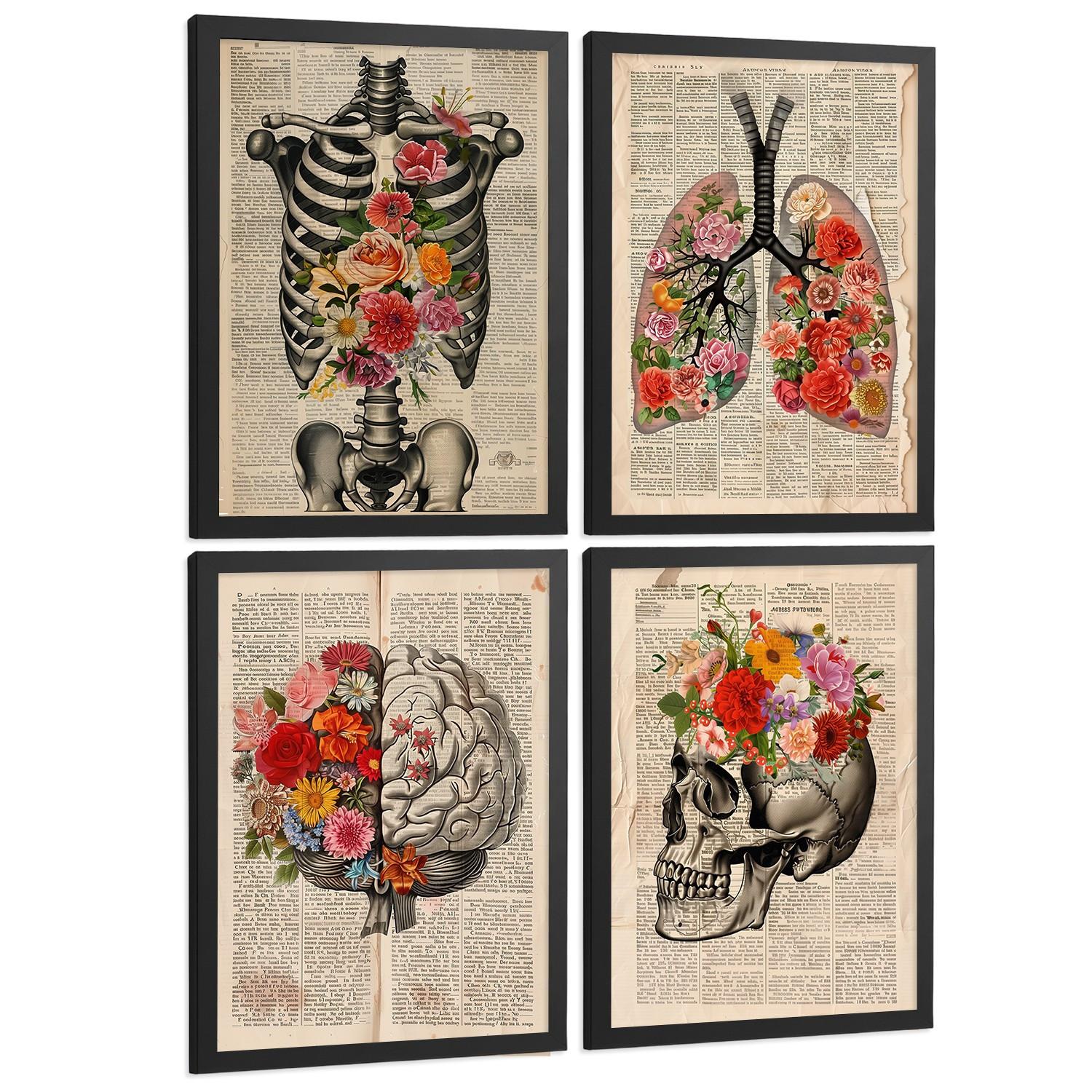 POSTER Set aus 4 Vintage Anatomie und Wandbilder mit Rippen Wirbelsäule Lungen Luftröhre Bronchien Gehirn und Schädel Größe Schwarzer Rahmen A4 - Schwarz, Papier (21/29.7/3cm) - Nacnic