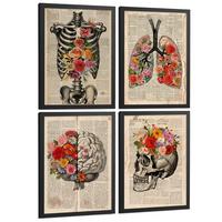 POSTER Set aus 4 Vintage Anatomie und Wandbilder mit Rippen Wirbelsäule Lungen Luftröhre Bronchien Gehirn und Schädel Größe Schwarzer Rahmen A4 - Schwarz, Papier (21/29.7/3cm) - Nacnic