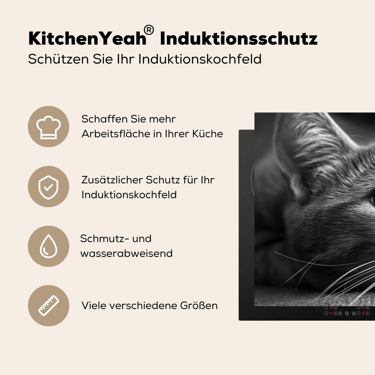 HERDABDECKPLATTE Katze - Grau - Tiere - Katze Induktionsschutz 91.2x52 cm - Grau, Kunststoff (91.2/52/0.2cm) - MuchoWow