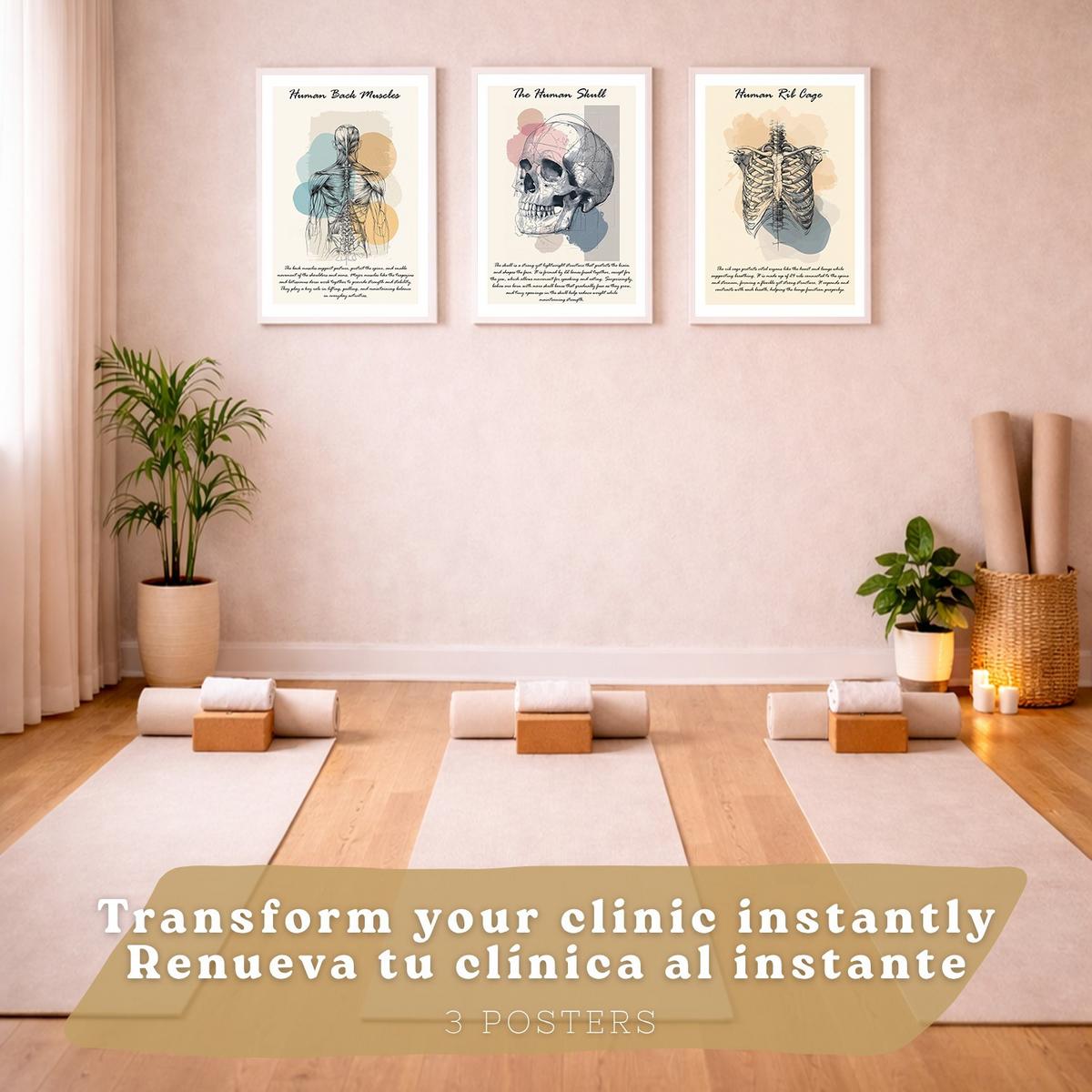 POSTER Set aus 3 Anatomie Mensch Lernposter Drucke und Wandbilder mit Muskeln Rücken Brustkorb Schädel Wanddekoration Größe Weißer Rahmen A3 - Weiß, Papier (29.7/42/3cm) - Nacnic