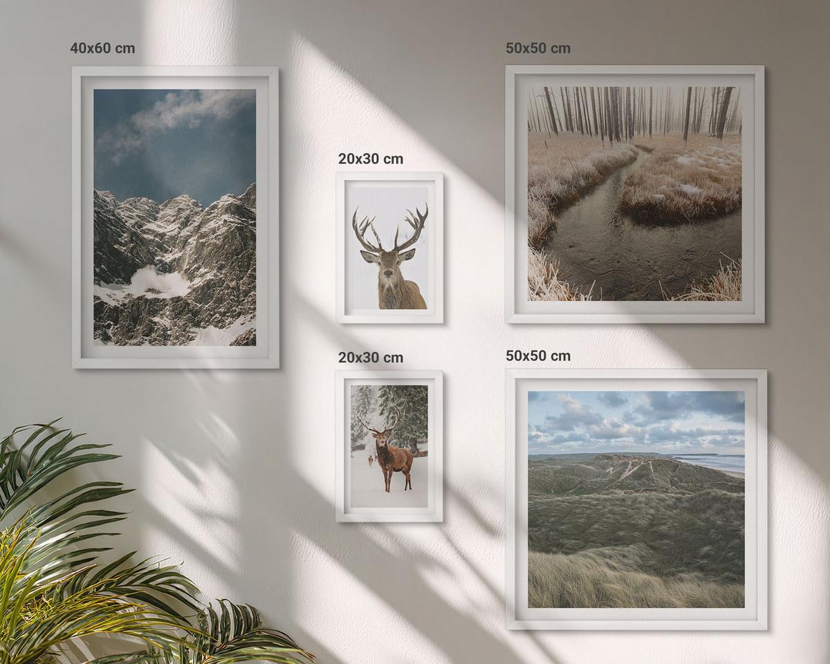 BILDER SET 5er Set - 50x50 cm & 20x30 cm & 40x60 cm Weißer Rahmen - Berge, Schnee, Hirsche, Waldlandschaft - Weiß, Kunststoff (40/60cm) - TULUP