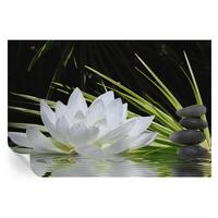 FOTOTAPETE 104x70 cm - Lilienmeditation - Weiß, Textil (104/70cm) - Wallfluent