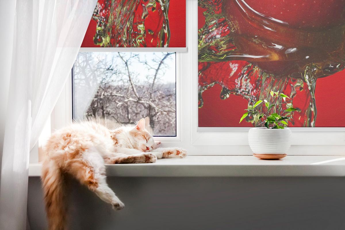 INNENROLLO - Fensterrollo - Rollo - 60x40 cm - Roter Apfel im Wasser - Rot, Kunststoff (60/140/0.5cm) - TULUP
