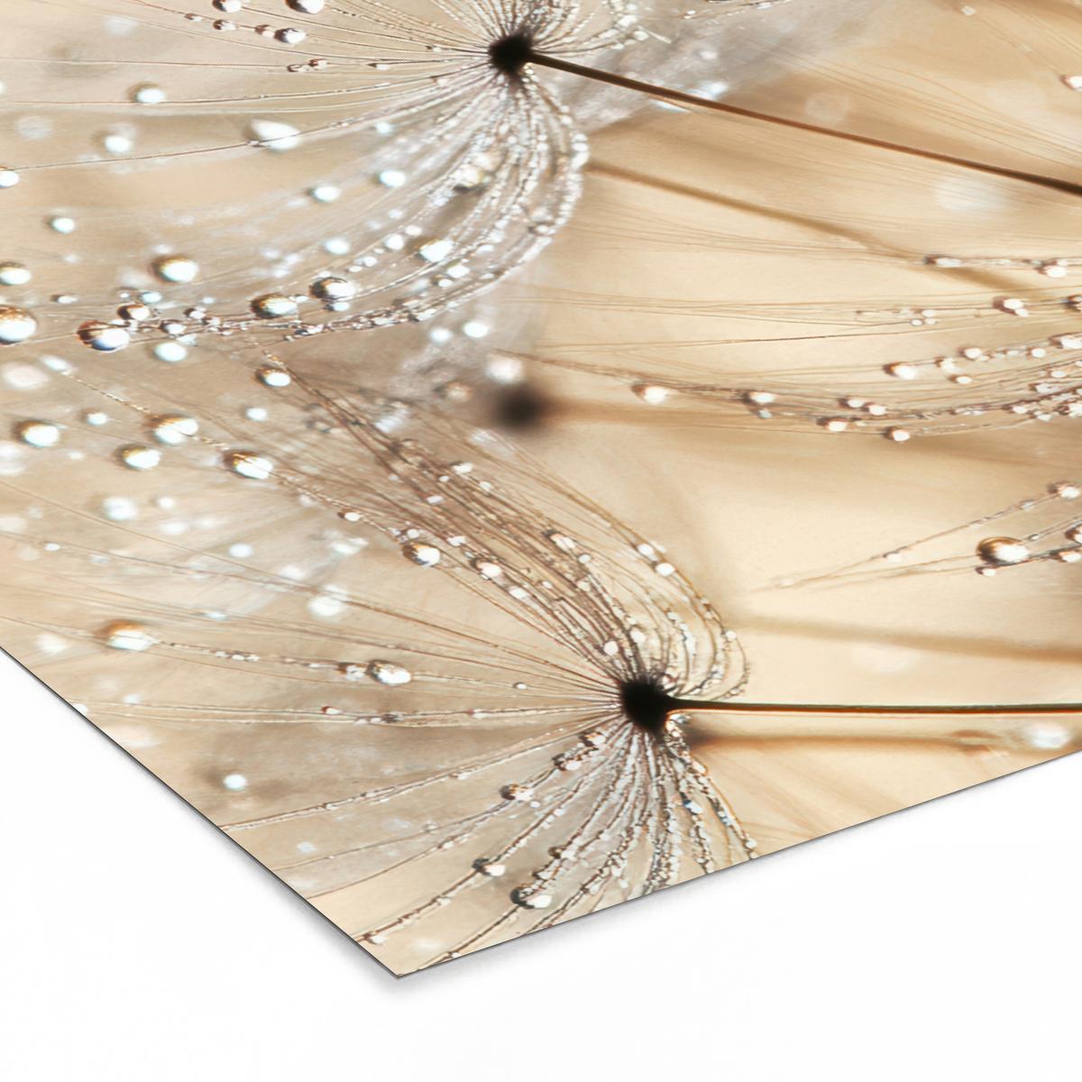 POSTER MIT RAHMEN Löwenzahn - Abstrakt - Natur - Beige 90x60 cm - Braun, Papier (90/60cm) - MuchoWow