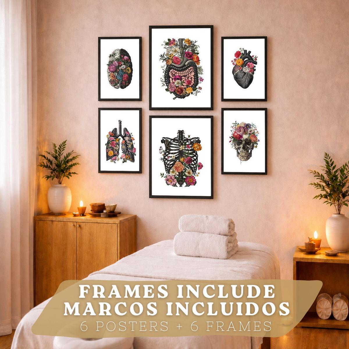 POSTER Set aus 6 Botanische Anatomie Drucke mit Herz Lungen Wirbelsäule Becken und Rippen Beige Terrakotta Erdtöne Florales Schwarzer Rahmen A3 & A4 - Schwarz, Papier (21/29.7/3cm) - Nacnic