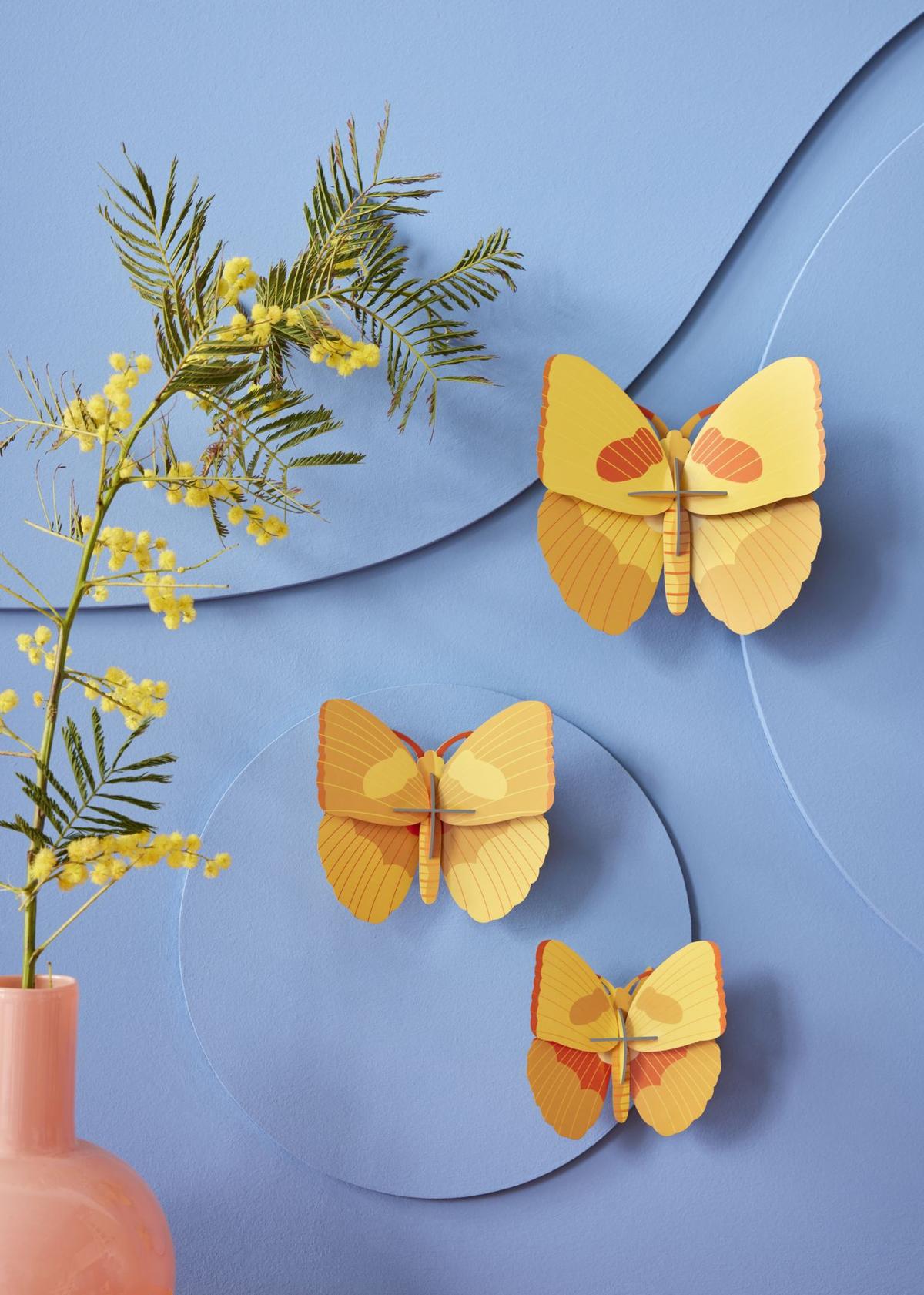 WANDDEKO Bernstein-Trio 7.5/16.5 cm - Multicolor, Wellpappe (7.5/16.5/17cm) - Studio Roof