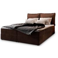 BOXBETT LENTE 180x200 cm mit Matratze und Topper - Braun - Braun, Holz (180/200cm) - MASSENO
