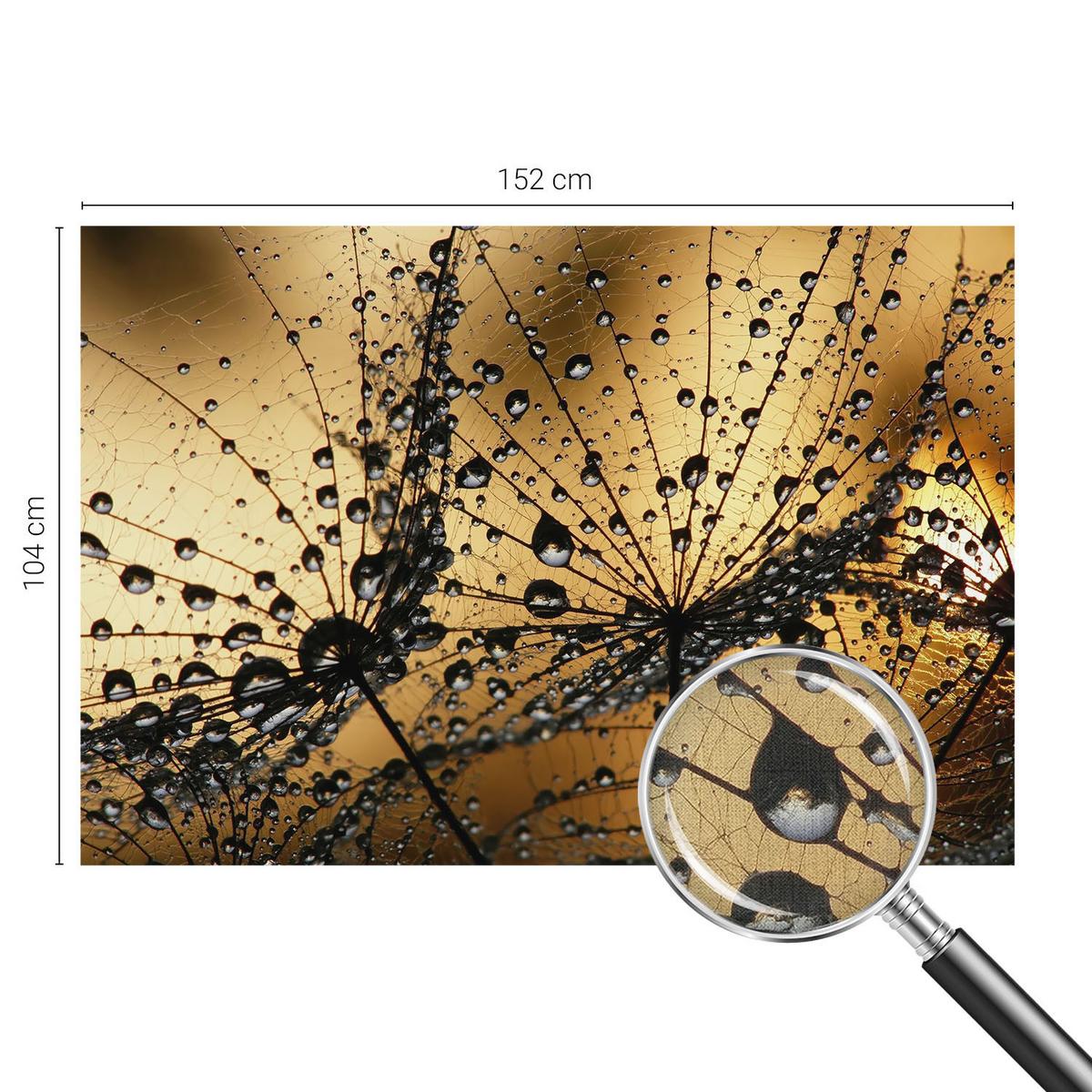 FOTOTAPETE 152x104 cm - Zarte Tropfen - Weiß, Textil (152/104cm) - Wallfluent