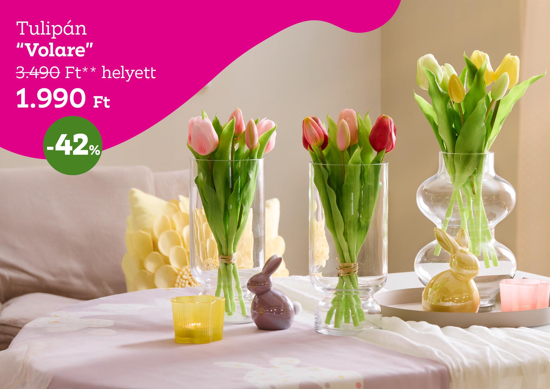 Tulipán  VOLARE 3490 Forint helyett 1990 Forint, kedvezmény mértéke 42%