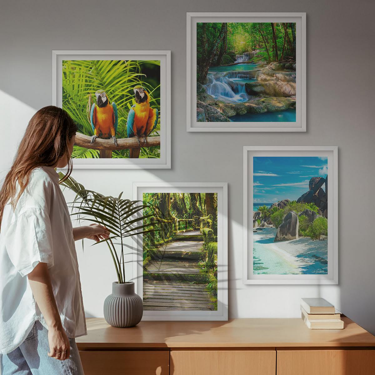 BILDER SET 4er Set - 50x50 cm & 40x60 cm Weißer Rahmen - Tropischer Wald Papageienwasserfall - Weiß, Kunststoff (50/50cm) - TULUP