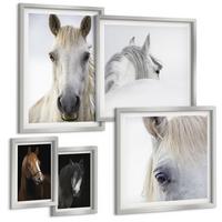 BILDER SET 5er Set - 50x50 cm & 20x30 cm & 40x60 cm Silberner Rahmen - Pferdeporträts in Schattierungen - Silberfarben, Kunststoff (40/60cm) - TULUP