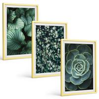 BILDER SET 3er Set - 40x60 cm Goldrahmen - Sukkulenten im Stil grüner Blätter - Goldfarben, Kunststoff (40/60cm) - TULUP