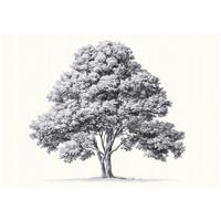 FOTOTAPETE Baum Abstrakt Grau 350x250 cm - Multicolor, Papier (350/250cm) - Wallarena