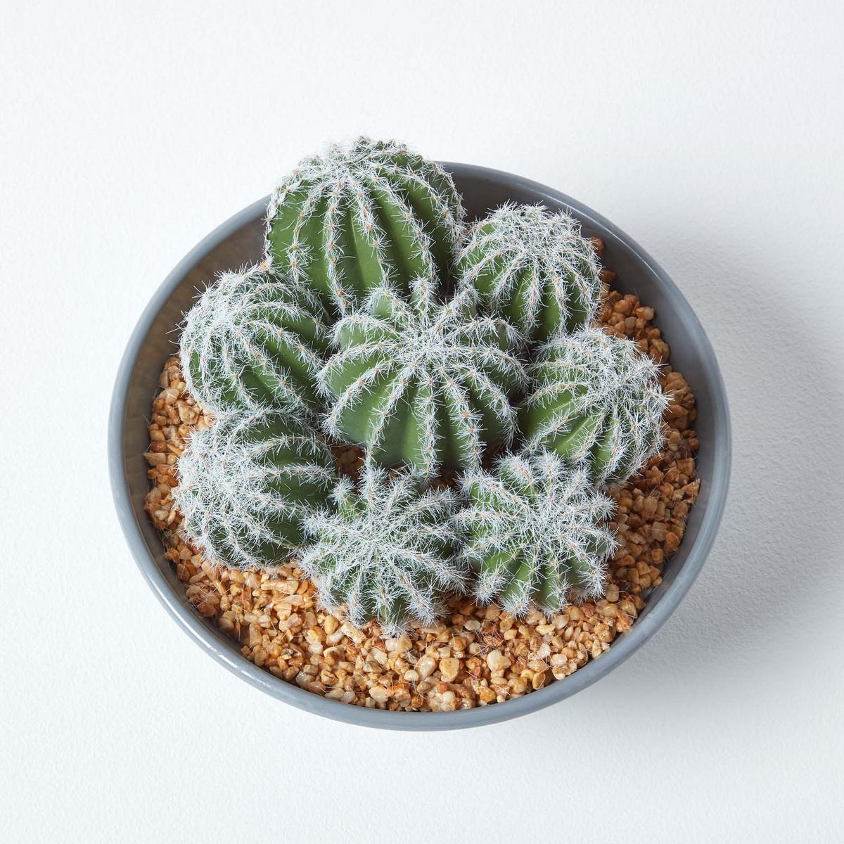 KUNSTPFLANZEN Kakteen-Arrangement im Deko-Topf, 17 cm - Grün, Kunststoff (17cm) - Homescapes