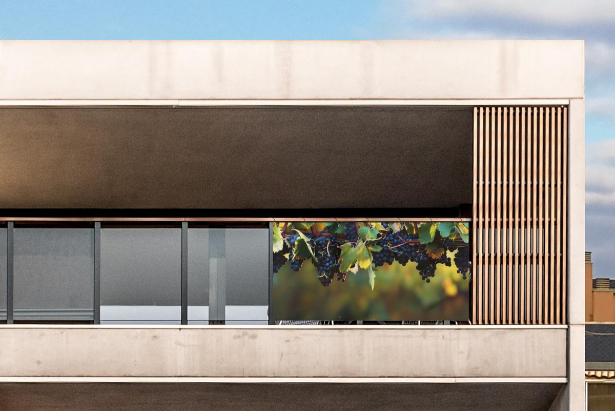 BALKON-SICHTSCHUTZ Trauben - Wein - Natur - Grün Witterungsbeständig 200x110 cm - Weinrot, Kunststoff (200/110cm) - MuchoWow