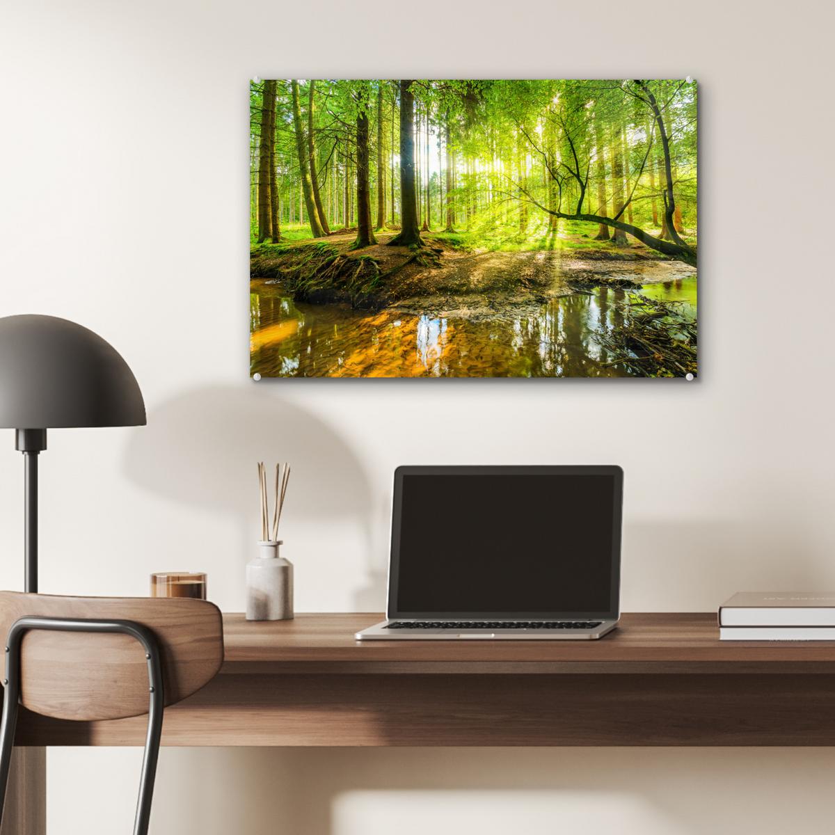 ACRYLGLASBILD Wald - Landschaft - Wasser - Bäume - Sonne - Grün - Natur Wanddeko 60x40 cm - Grün, Glas (60/40cm) - MuchoWow