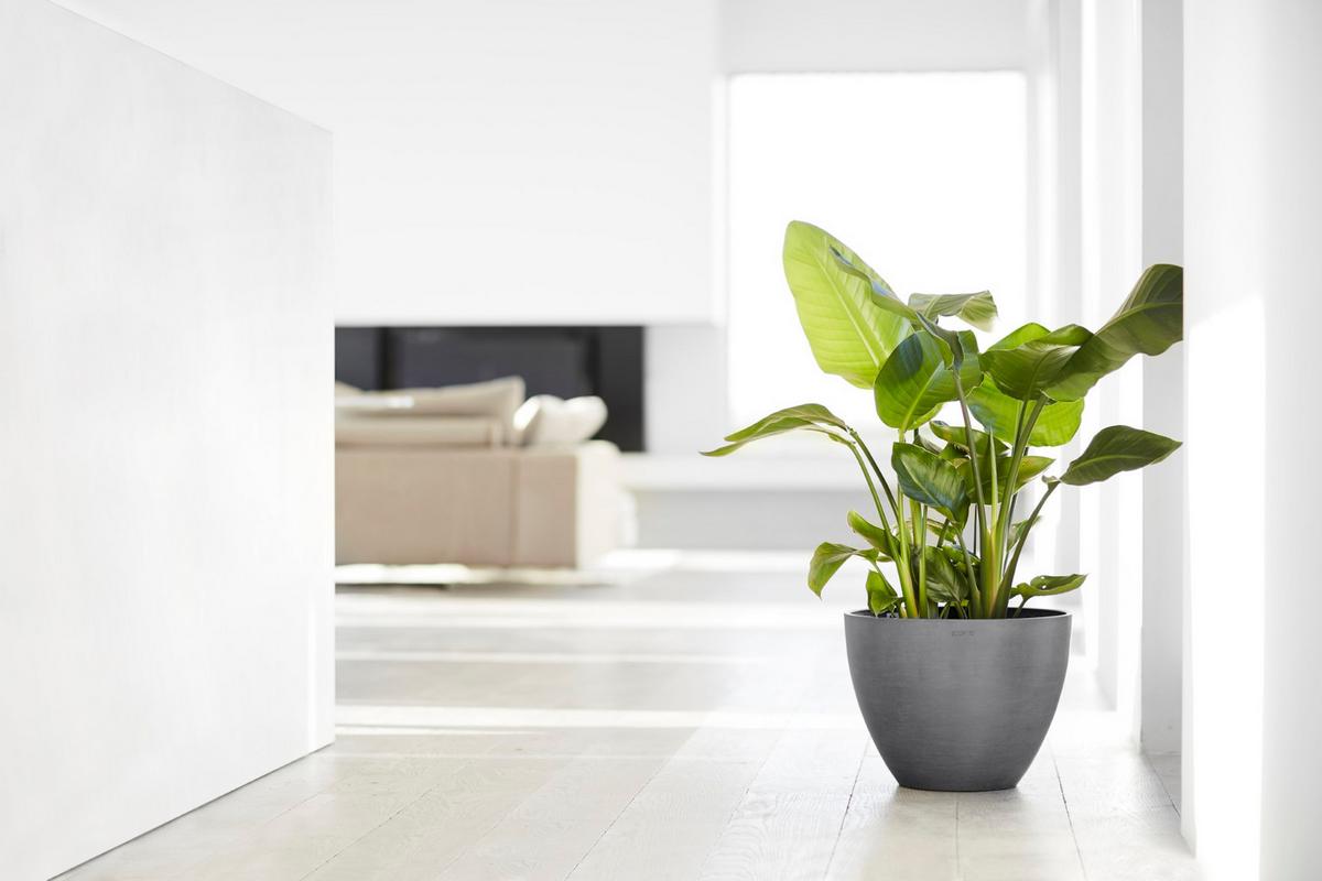 BLUMENTOPF Antwerp 39,7/30 cm Grau - Grau, Kunststoff (39.7/30cm) - Ecopots