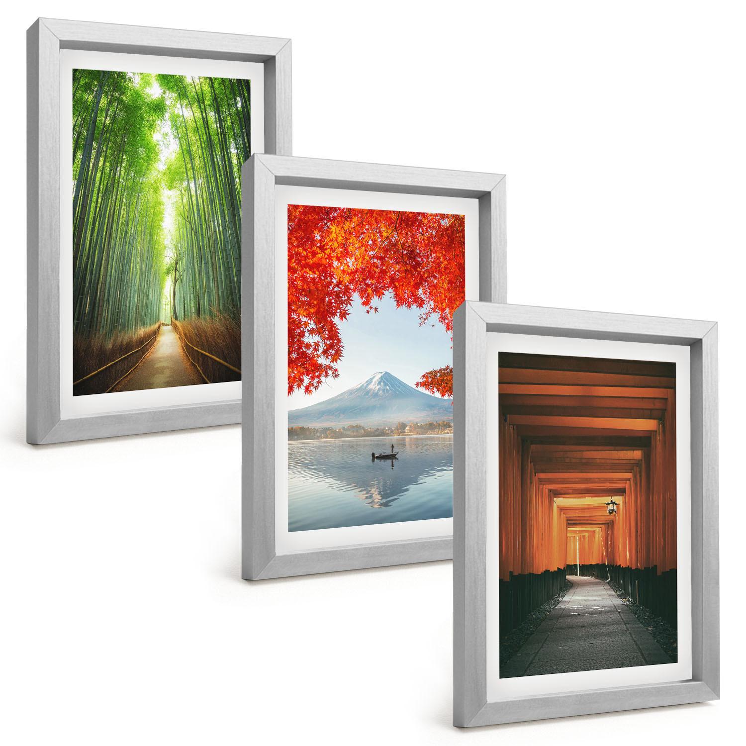 BILDER SET 3er Set - 20x30 cm Silberner Rahmen - Fuji-Bambuswaldlandschaft - Silberfarben, Kunststoff (20/30cm) - TULUP