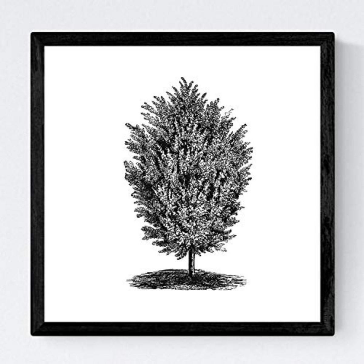 POSTER Set mit 4 Blättern der Bäume sehr fondosos, weiß 20x20cm Schwarzer Rahmen - Schwarz, Papier (20/3cm) - Nacnic