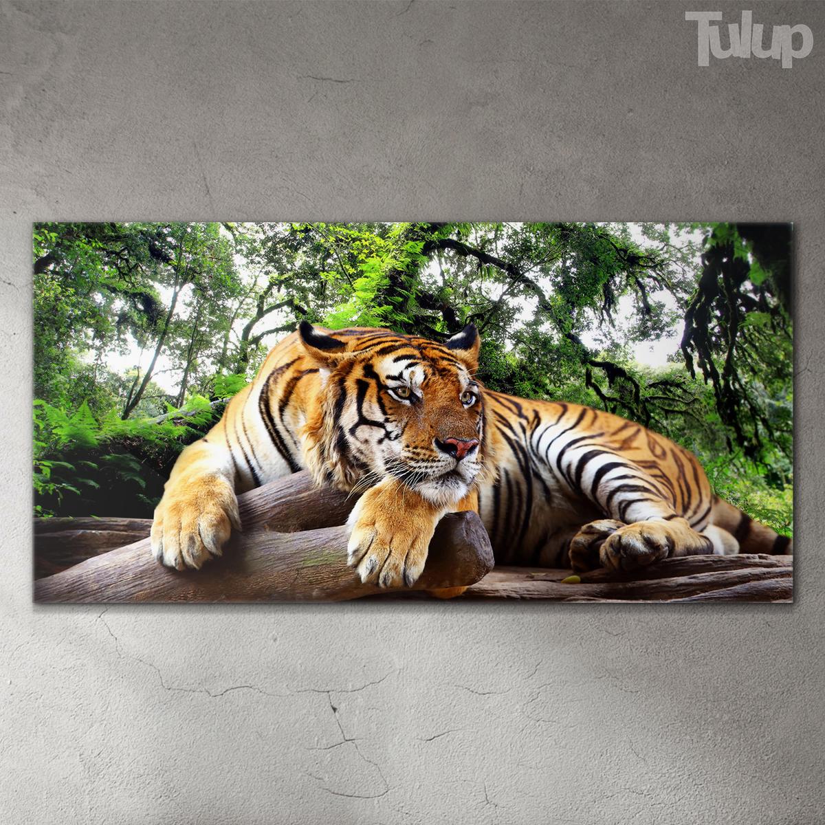 GLASBILD 140x70 cm Tiger - Grau, Glas (140/70cm) - TULUP