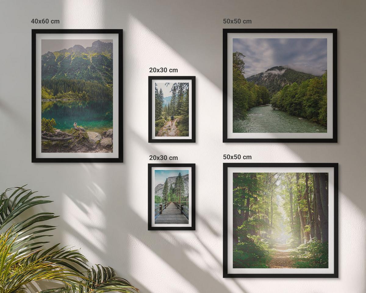 BILDER SET 5er Set - 50x50 cm & 20x30 cm & 40x60 cm Schwarzer Rahmen - Straße Wald Berge Hirsch Natur - Schwarz, Kunststoff (40/60cm) - TULUP