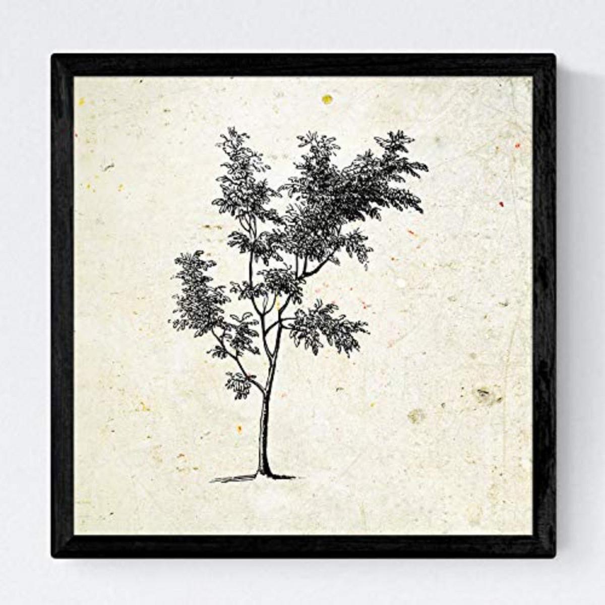 POSTER Set mit 4 Blättern der Bäume ohne und mit Blatt, 20x20cm Schwarzer Rahmen - Schwarz, Papier (20/3cm) - Nacnic