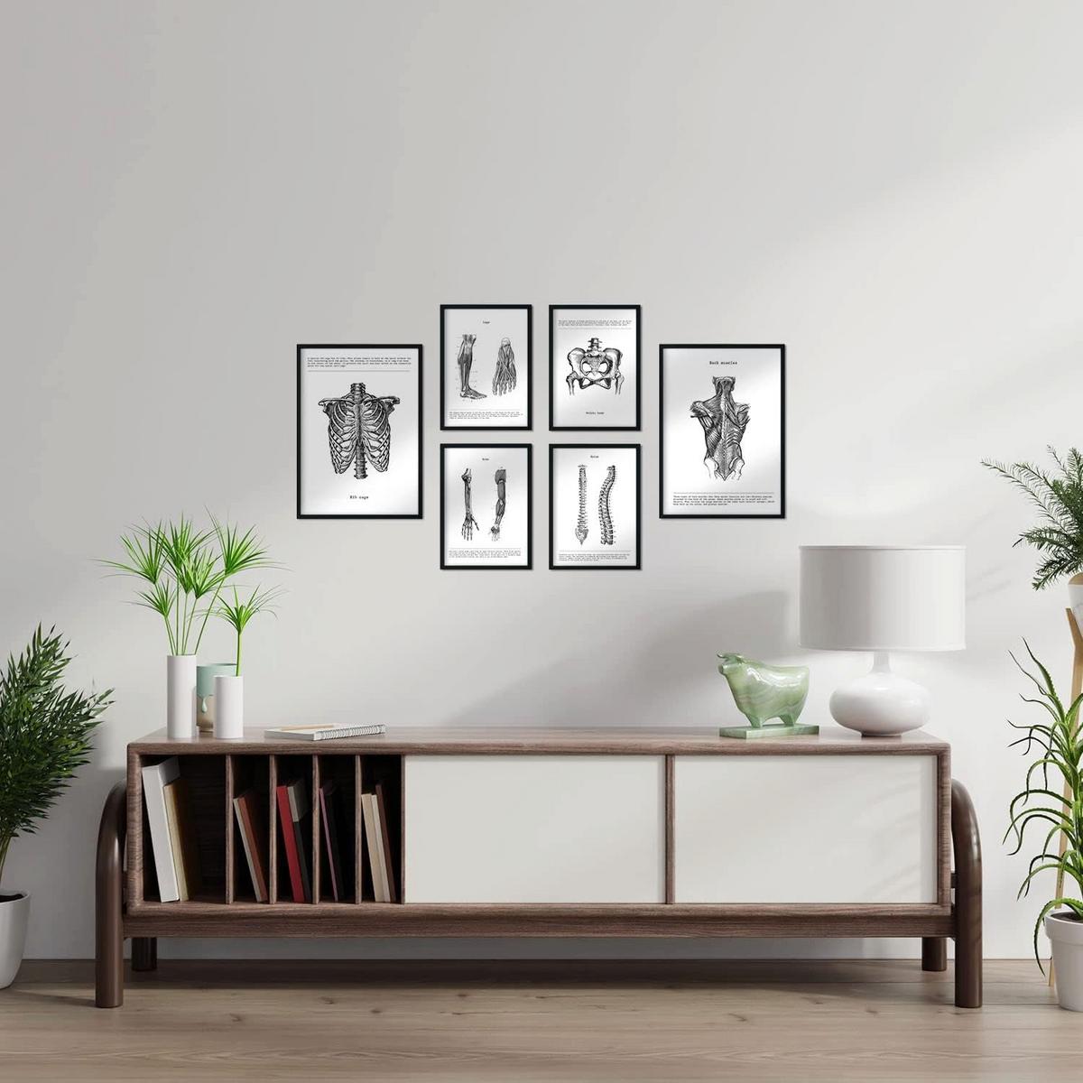 POSTER Set Mit 6 Anatomie Sammlung Von Platten Größe A3 und A4 Rahmenlos - Klar, Papier (29.7/1cm) - Nacnic