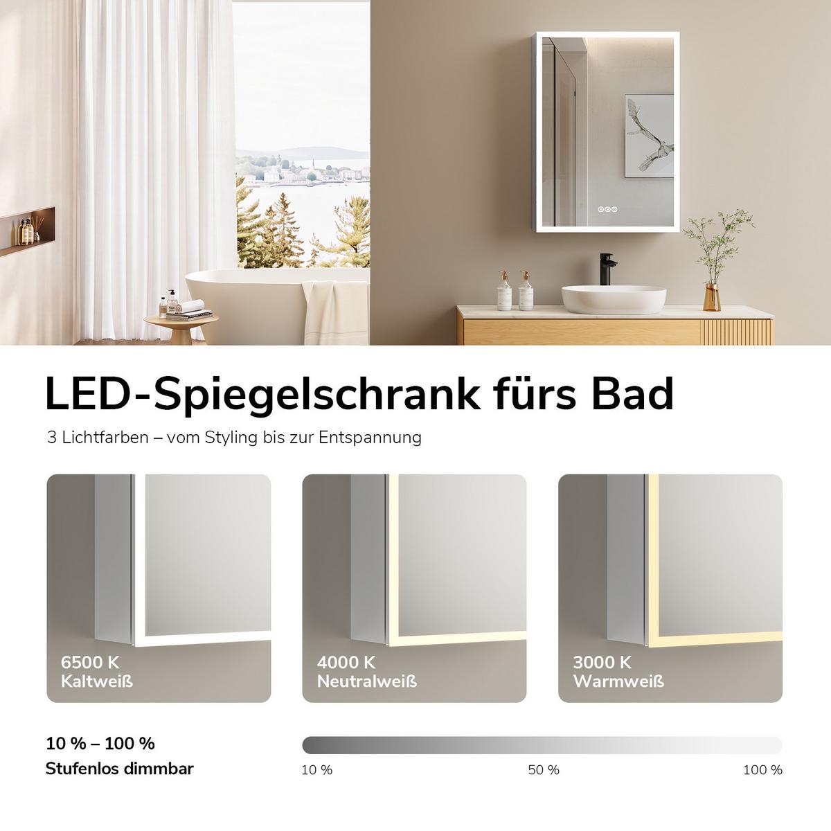 SPIEGELSCHRANK mit Beleuchtung Weiß 70/50 cm - Weiß, Metall (50/70/14.5cm) - EMKE
