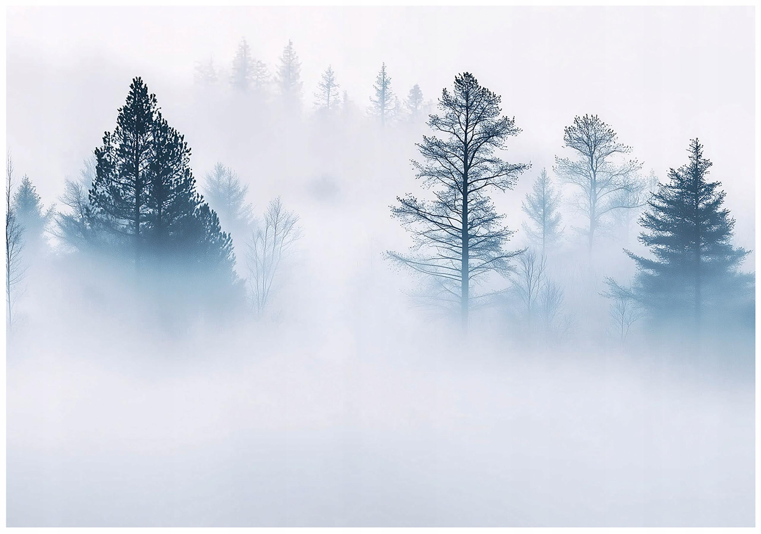 FOTOTAPETE Wald Nebel Natur Vlies Tapete Wohnzimmer 300x210 - Multicolor, Papier (300/210cm) - Wallarena