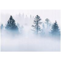 FOTOTAPETE Wald Nebel Natur Vlies Tapete Wohnzimmer 200x140 - Multicolor, Papier (200/140cm) - Wallarena