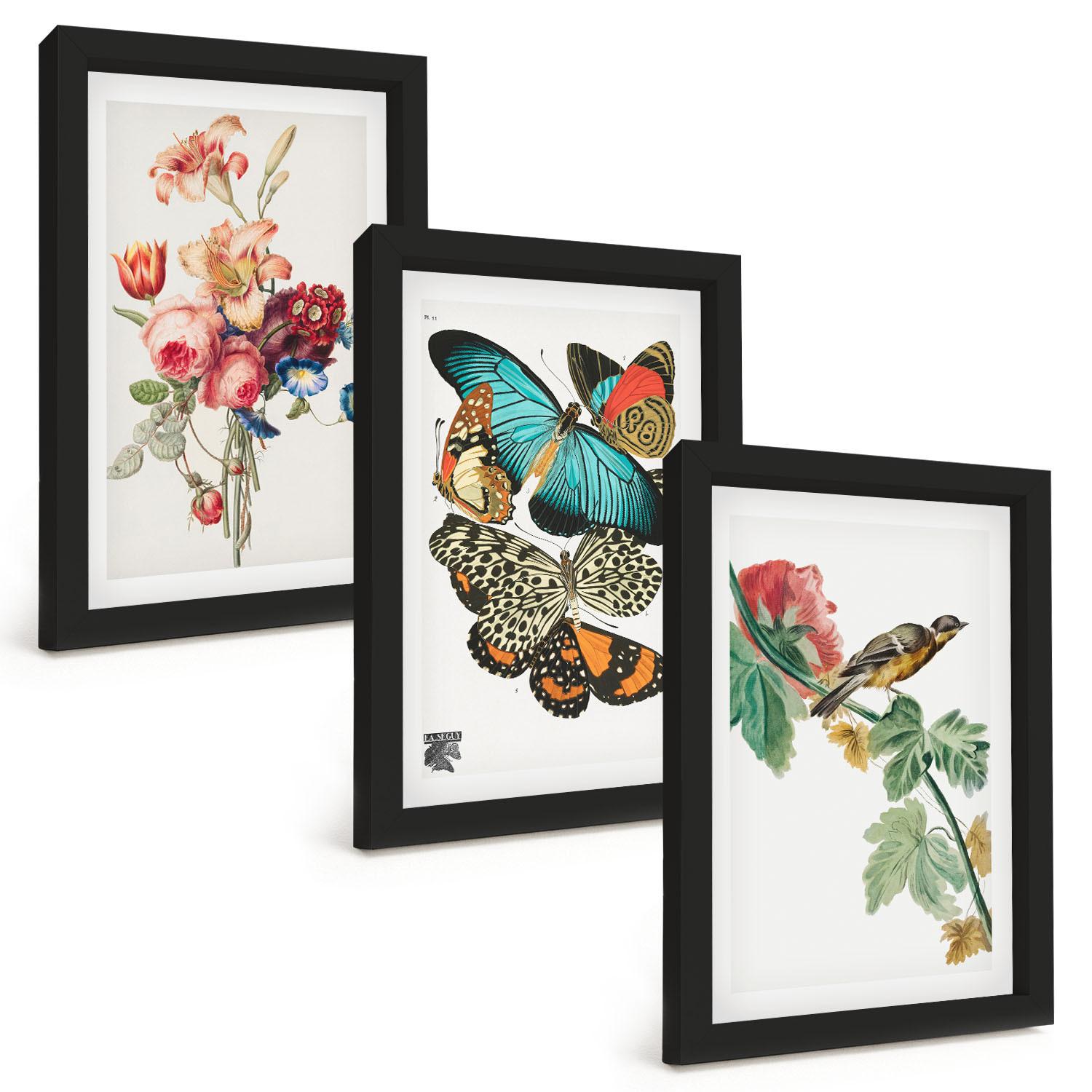 BILDER SET 3er Set - 20x30 cm Schwarzer Rahmen - Blumen, Schmetterlinge, Vögel, Pastellfarben - Schwarz, Kunststoff (20/30cm) - TULUP