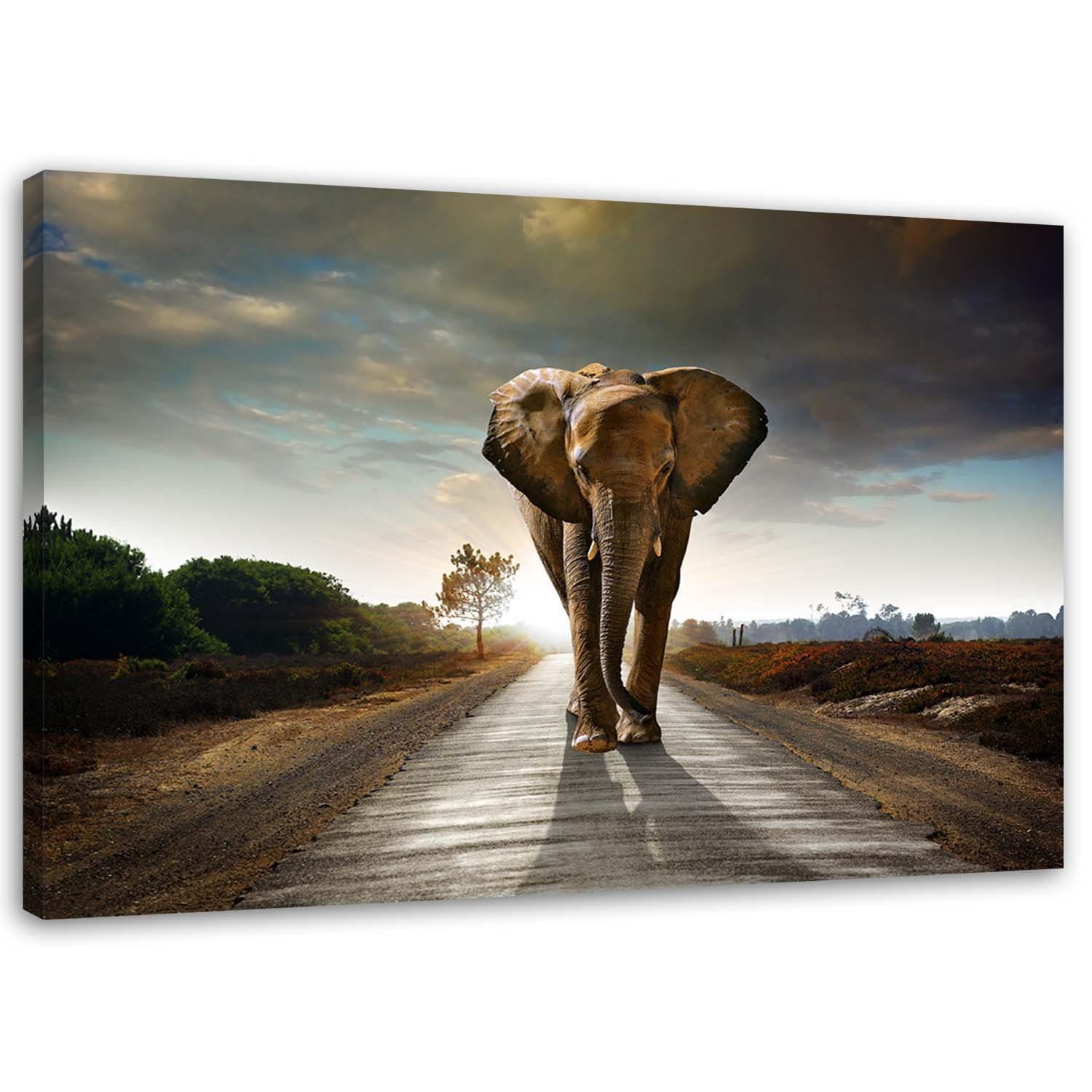 WANDBILD Wandernder Elefant 120x80cm - Braun, Textil (120/80cm) - Feeby